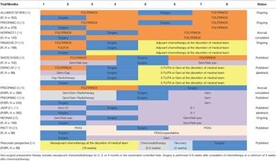 Short-Course or Total Neoadjuvant Chemotherapy in Resectable and Borderline Resectable Pancreatic Cancer - Current Status and Future Perspectives